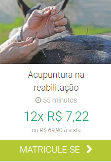 Acupuntura na reabilitação IBRA EAD