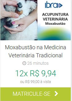 Moxabustão na Medicina Veterinária Tradicional IBRA EAD