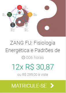 Zang Fu Fisiologia Energetica e Padrões de IBRA EAD