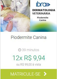 Pioderme canina IBRA EAD