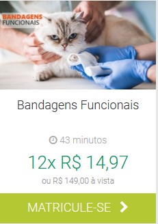 Bandagens Funcionais IBRA EAD