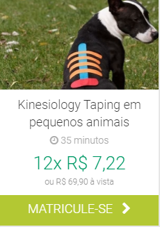 Kinesiology taping em pequenos animais IBRA EAD