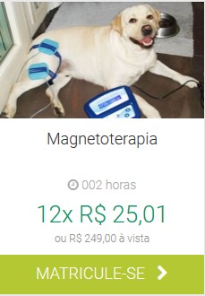 Magnetoterapia IBRA EAD