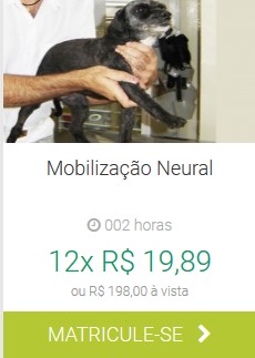 Mobilização Neural IBRA EAD