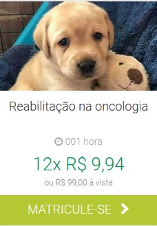 Reabilitação na Oncologia IBRA EAD