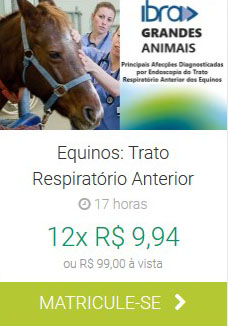 Equinos Trato Respiratório Anterior IBRA EAD