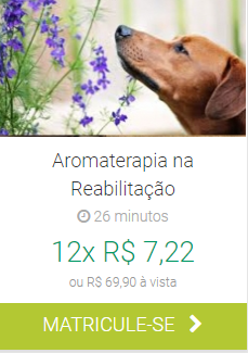 Aromaterapia na reabilitação IBRA EAD