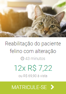 Reabilitação do paciente felino com alteração IBRA EAD