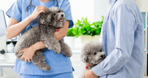 Microfisioterapia e Medicina veterinária Sistêmica • 9ª Turma