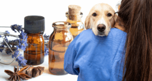Aromaterapia para animais • 13ª Turma