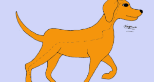 Vasos Extraordinários • 6ª Turma