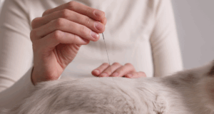 Casos clínicos em Acupuntura Veterinária 100% Prático • 2ª Turma • Intensivo