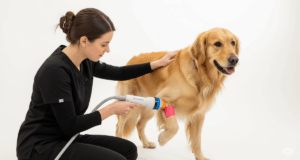 Shock Wave Therapy-Terapia por Ondas de Choque • 8ª Turma