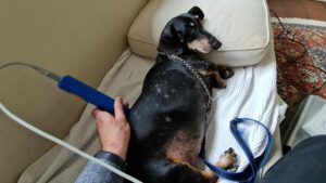 Laserterapia, Fototerapia com Leds, ILIB e Terapia Transcraniana • 5ª Turma