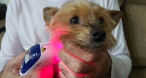 Fototerapia – Laser, LED, ILIB y Terapia Transcraneal