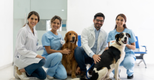 Carreira Veterinária • Da Formatura à Especialização