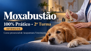 Moxabustão • 100% Prático • 2ª Turma • Intensivo