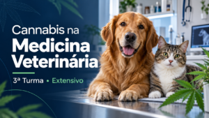Cannabis na Medicina Veterinária • 3ª Turma • Extensivo