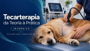 Tecarterapia – da Teoria à Prática • Intensivo
