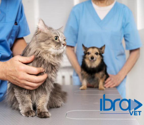 Ibravet---cursos-medicina-veterinária
